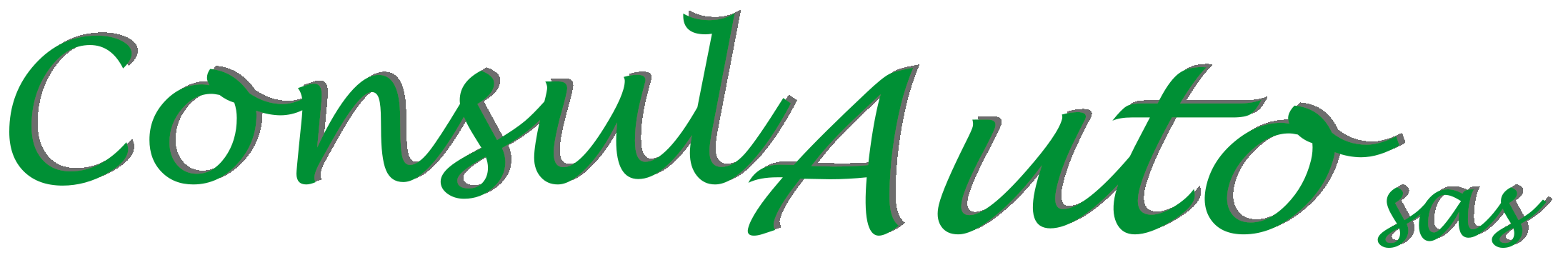 ConsulAuto sas Logo